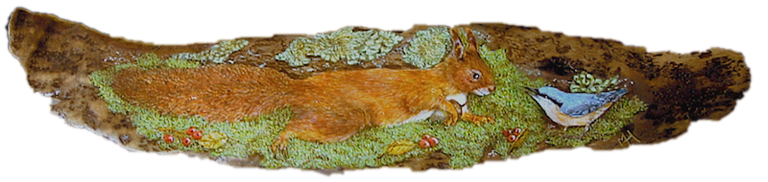 SQUIRREL-full