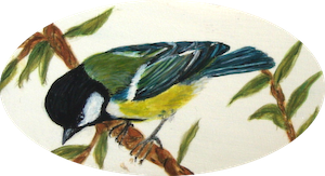 birdll300