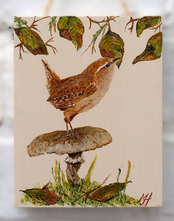 little-wren